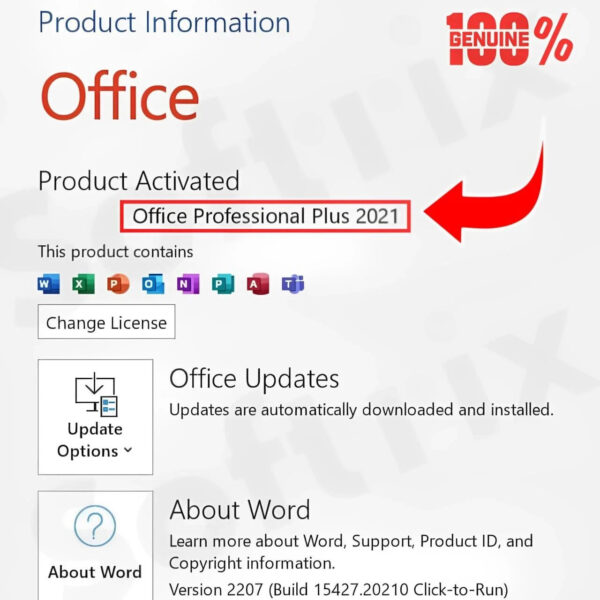 MICROSOFT OFFICE PROFESSIONAL PLUS 2021 (LIFETIME VALIDITY, 1 PC) ACTIVATION KEY CARD - Image 2
